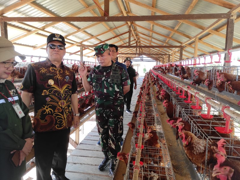 Wawali Bagus Susetyo Kunlap Lahan Pertanian, Apresiasi Program IFS Kodam VI Mulawarman