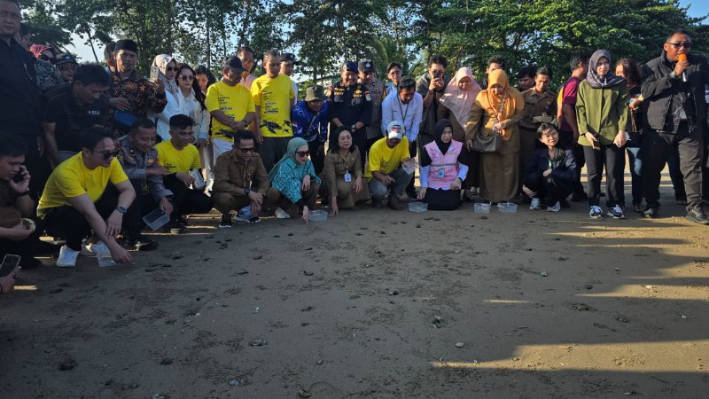PT KRN Apresiasi JMSI Balikpapan: Kolaborasi Kunci Jaga Keberlangsungan Penyu Lekang